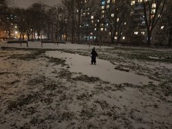 IMG_20250105_173105.jpg