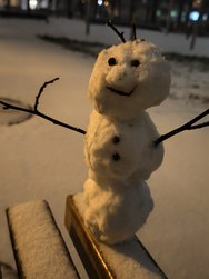 IMG_20250105_173743.jpg