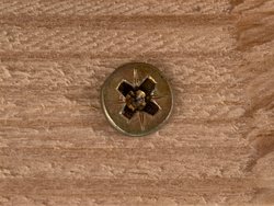 IMG_20250208_100117.jpg