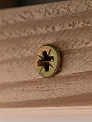 IMG_20250208_100216.jpg