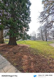 IMG_20250209_123754.jpg