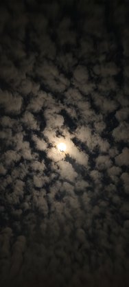 IMG_20250208_194817.jpg