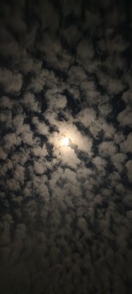 IMG_20250208_194910.jpg