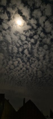 IMG_20250208_195106.jpg