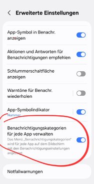 Screenshot_20250209_181641_Settings.jpg