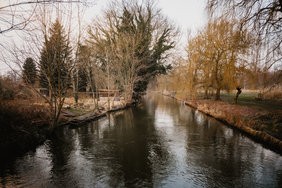 unbenannt (32 von 47).jpg