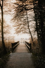 unbenannt (40 von 47).jpg