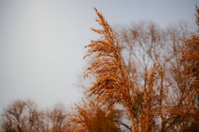 unbenannt (4 von 47).jpg