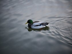 20250209_165803(1).jpg