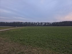 20250209_170633-ExpRAW-24MP.jpg