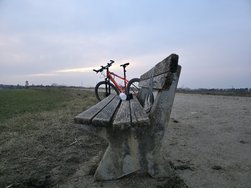20250209_171723-AutoMode-50MP.jpg