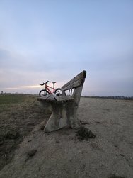 20250209_171740-AutoMode-UW-50MP.jpg
