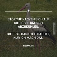 post2 (2).jpg