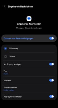 Screenshot_20250210_014029_Settings.jpg