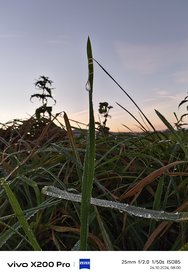 IMG_20241026_080003.jpg
