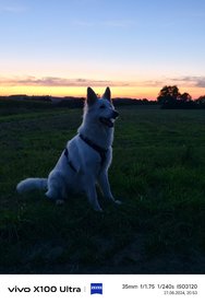 IMG_20240827_205316.jpg