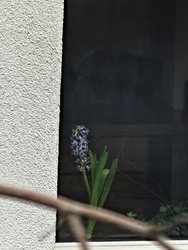 mit-qr.jpg