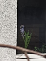 ohne-qr.jpg
