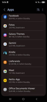 Screenshot_20250210_165615_Settings.jpg