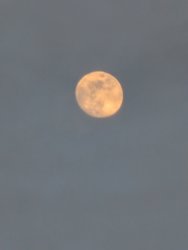 PXL_20250210_162332103.jpg