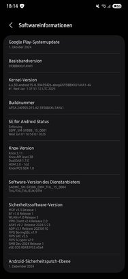 Screenshot_20250210_181408_Settings.jpg