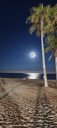 IMG_20240720_225133.jpg