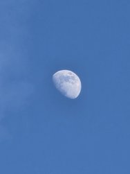 20250207_162919.jpg