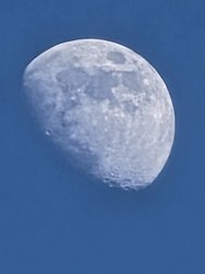 20250207_162925.jpg