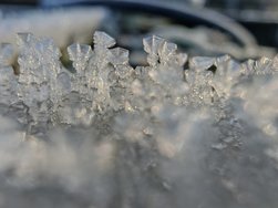IMG_20250203_093457.jpg