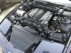 e31f.jpg