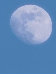 IMG_20250209_162144.jpg
