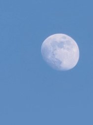 IMG_20250209_162039.jpg