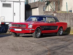 IMG_20250210_231443.jpg