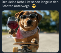 1000042682.png