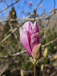 IMG_20250211_122313.jpg