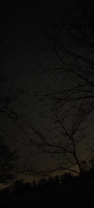 IMG20250202225254.jpg