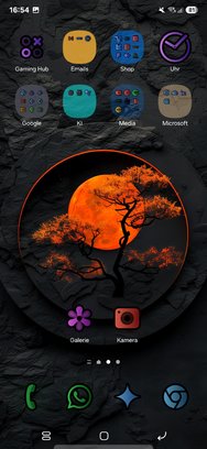 Screenshot_20250211_165448_One UI Home.jpg