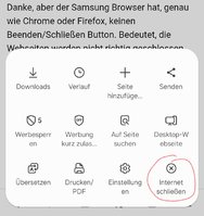 Screenshot_20250211_171646_Samsung Internet.jpg