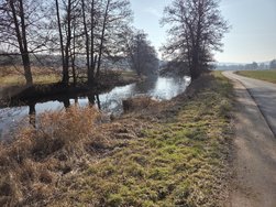20250208_130852.jpg