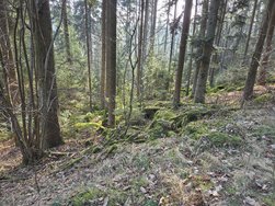20250209_140506.jpg