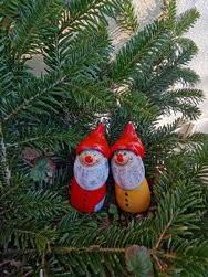 IMG_20250209_125824.jpg