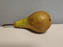 IMG20250212150626.jpg