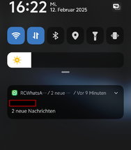 Screenshot_20250212_162253.jpg