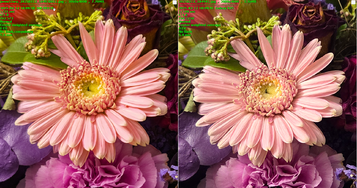 2025-02-12 18_53_12-Bilder vergleichen.png