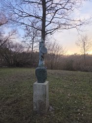 S25_20250208_170752.jpg