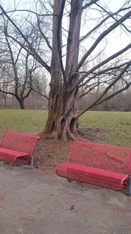 S10e_20250208_171004.jpg