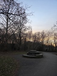 S25_20250208_171315.jpg