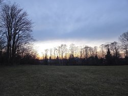 S25_20250208_173147.jpg