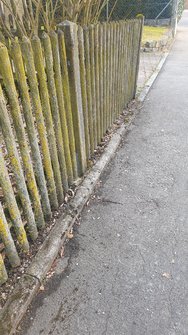 S10e_20250210_110049.jpg