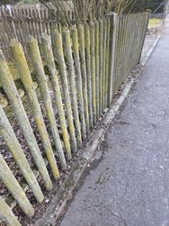 S25_20250210_110025.jpg